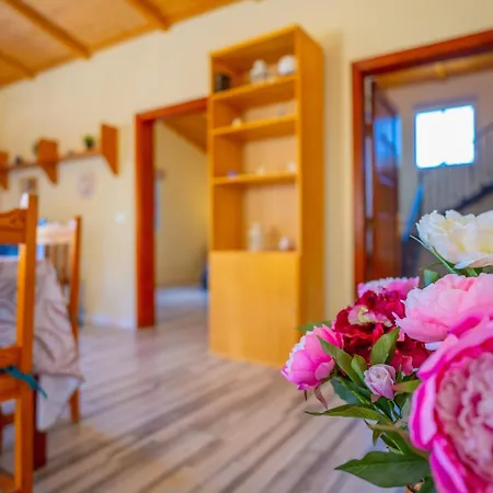 Buda Terra * 산타크루스데 테네리페