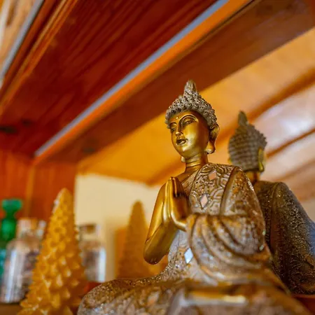 Buda Terra * 산타크루스데 테네리페