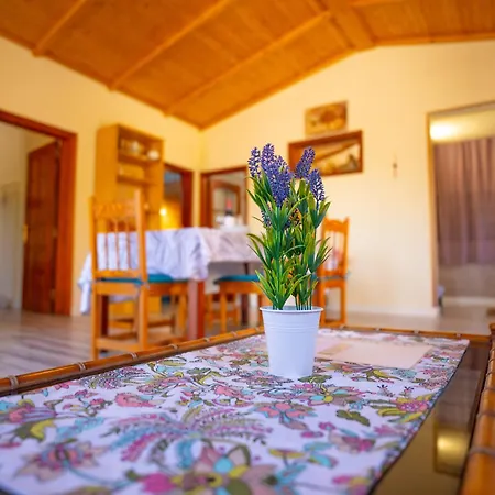 Buda Terra 펜션 산타크루스데 테네리페